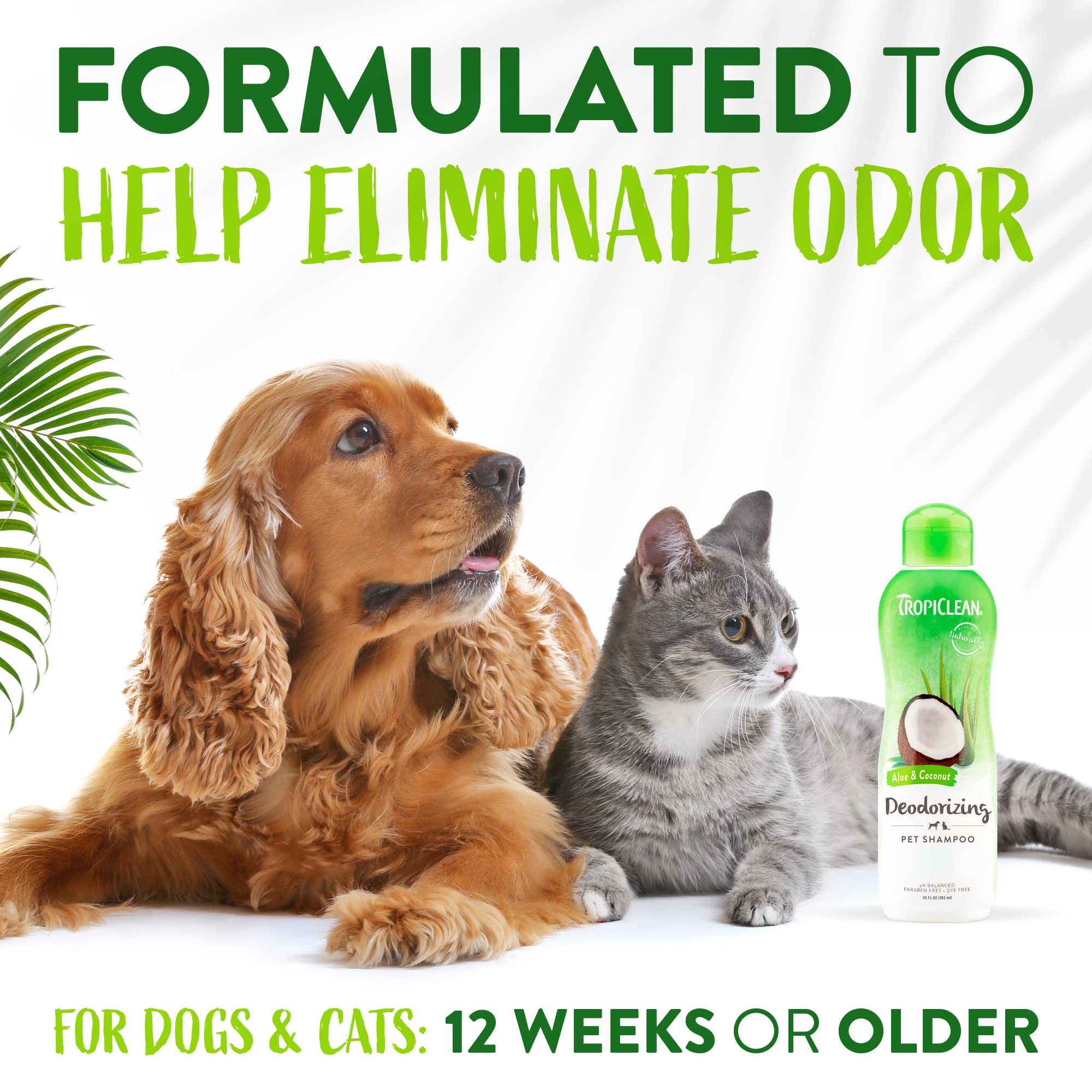 Foto 5 pulgar | Champú Para Perros Tropiclean, Desodorizante Con Aloe Y Coco, 600 Ml - Venta Internacional.