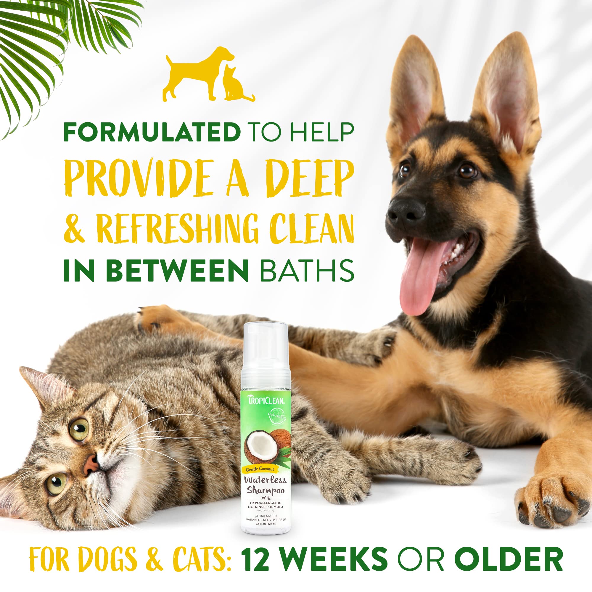 Foto 5 pulgar | Champú Sin Agua Para Perros Tropiclean Hipoalergénico 220 Ml - Venta Internacional.