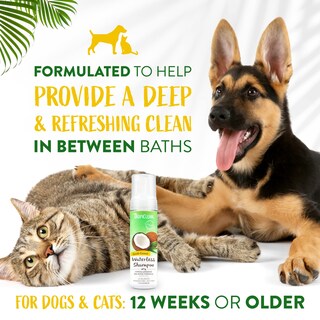 Foto 4 | Champú Sin Agua Para Perros Tropiclean Hipoalergénico 220 Ml - Venta Internacional.