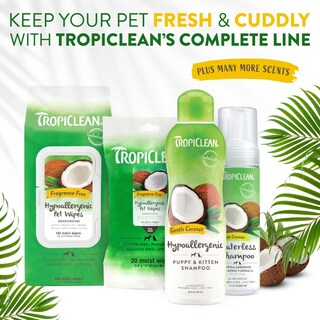 Foto 7 | Champú Sin Agua Para Perros Tropiclean Hipoalergénico 220 Ml - Venta Internacional.