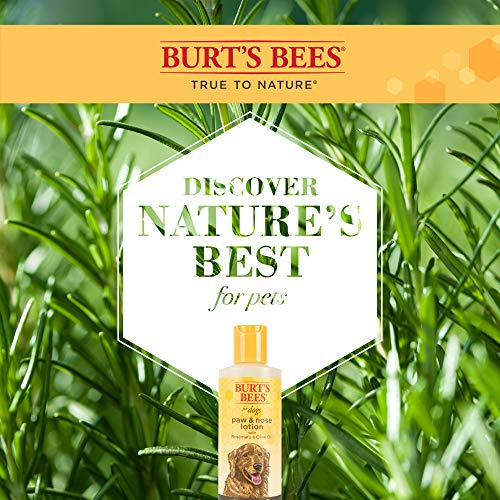 Foto 6 pulgar | Loción Burt's Bees Para Mascotas Paw & Nose Para Perros, 120 Ml - Venta Internacional.
