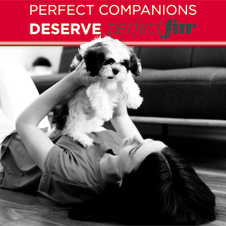 Foto 6 | Champú Para Perros Tropiclean Perfect Fur Detangling 480 Ml Long Fur - Venta Internacional.