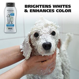 Foto 2 | Champú Blanqueador Wahl Con Aroma A Pera Blanca Para Mascotas, 720 Ml - Venta Internacional.