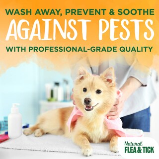 Foto 4 | Champú Para Perros Tropiclean Soothing Natural Flea/tick 3.78 L Usa - Venta Internacional.