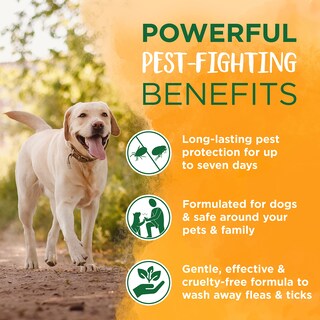 Foto 6 | Champú Para Perros Tropiclean Soothing Natural Flea/tick 3.78 L Usa - Venta Internacional.