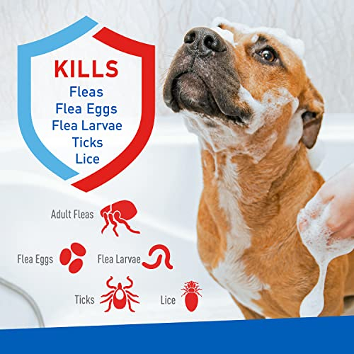 Foto 4 pulgar | Champú Adams Plus Flea & Tick Con Precor Para Perros Y Gatos 180 - Venta Internacional.
