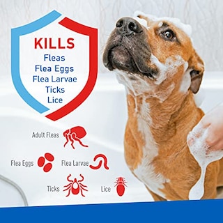 Foto 3 | Champú Adams Plus Flea & Tick Con Precor Para Perros Y Gatos 180 - Venta Internacional.