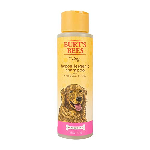 Champú Para Perros Burt's Bees Natural Hipoalergénico Karité Butter 4 - Venta Internacional.