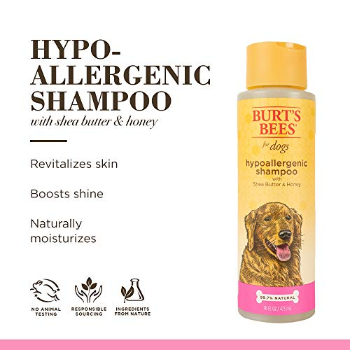Foto 5 pulgar | Champú Para Perros Burt's Bees Natural Hipoalergénico Karité Butter 4 - Venta Internacional.