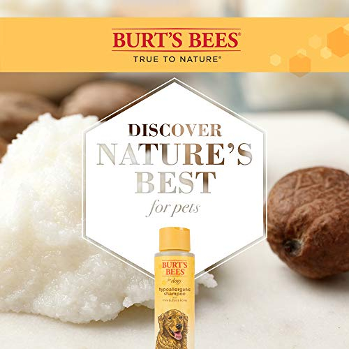 Foto 6 pulgar | Champú Para Perros Burt's Bees Natural Hipoalergénico Karité Butter 4 - Venta Internacional.