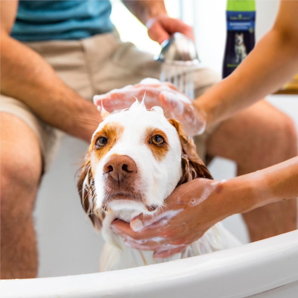 Foto 8 pulgar | Acondicionador Furminator Ultra Premium Deshedding 473 Ml Para Perros - Venta Internacional.