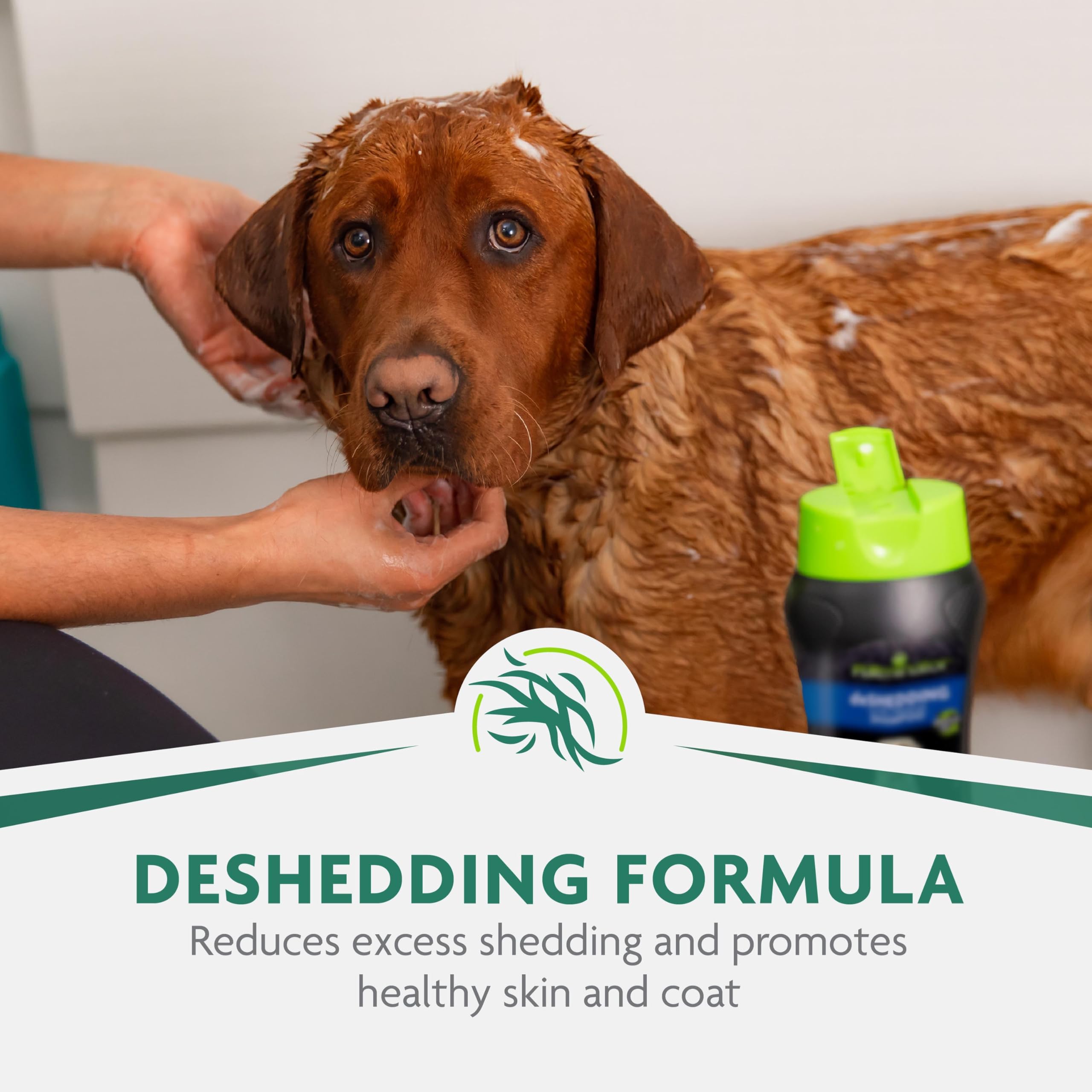 Foto 6 pulgar | Champú Furminator Ultra Premium Deshedding Para Perros 473 Ml - Venta Internacional.
