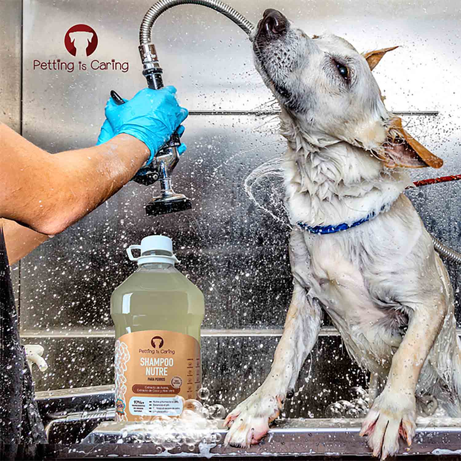 Foto 4 pulgar | Shampoo Nutre Para Perro Aroma Lavanda Petting Is Caring De 1 Galon