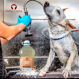 Foto 3 | Shampoo Nutre Para Perro Aroma Lavanda Petting Is Caring De 1 Galon
