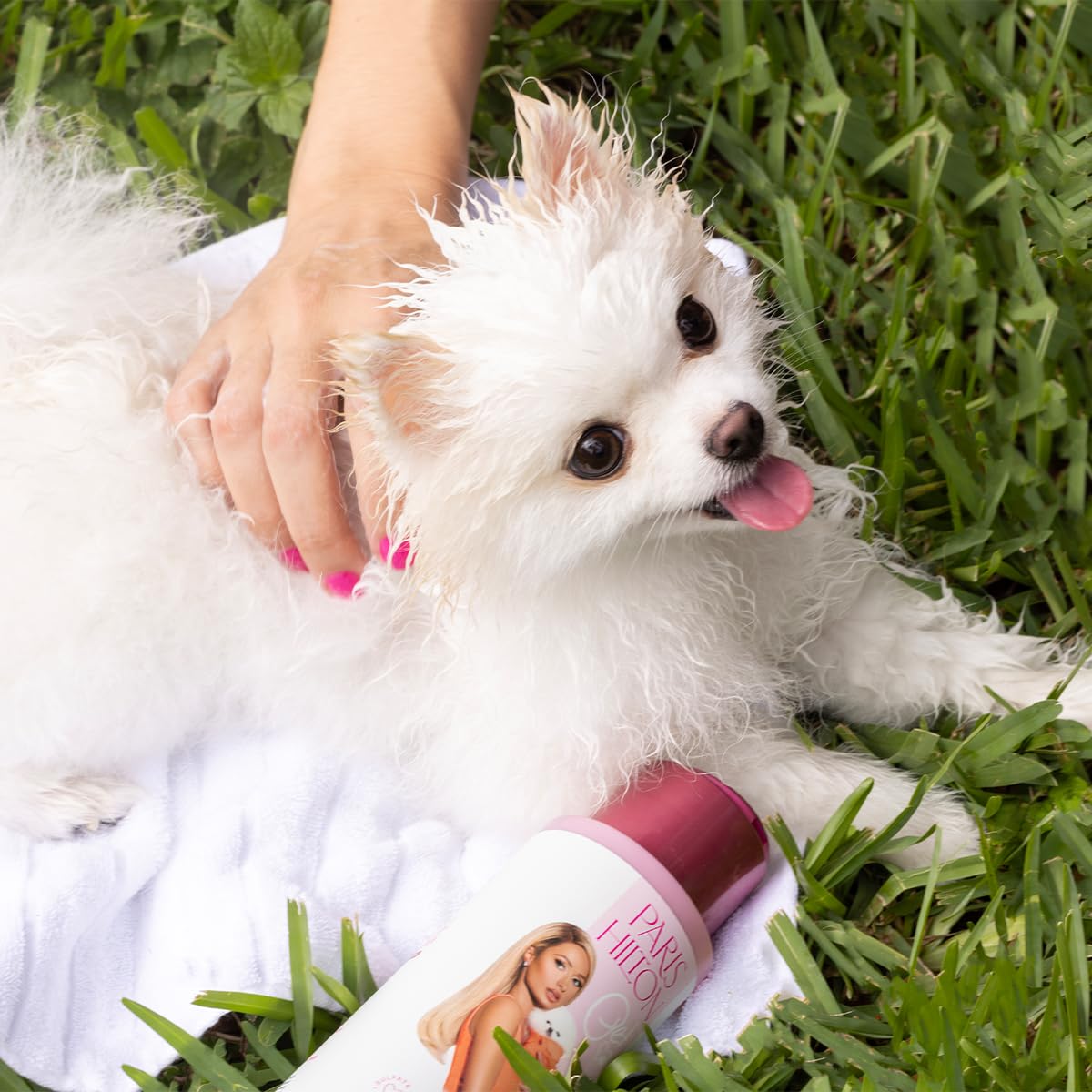 Foto 4 pulgar | Champú Para Perros Paris Hilton Crisp Refreshing Pepino Melon 480 Ml - Venta Internacional.