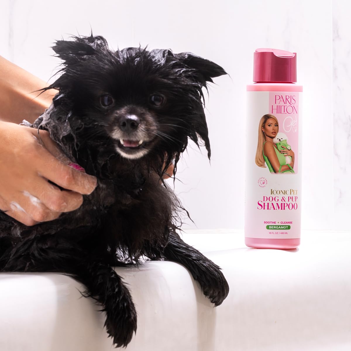 Foto 4 pulgar | Champú Para Perros Paris Hilton Fresh Citrus Bergamota Con Aroma A Bergamota 480 Ml - Venta Internacional.