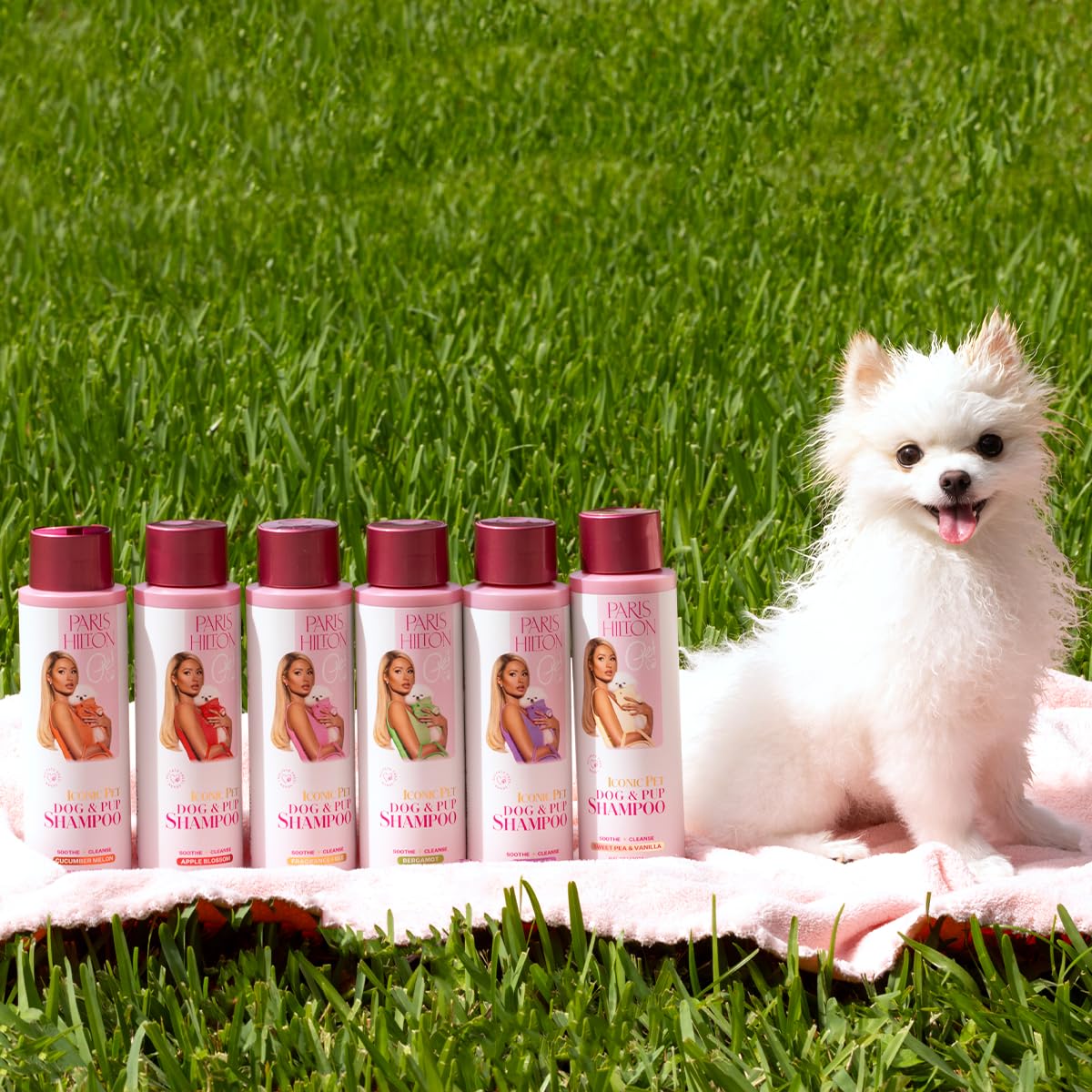 Foto 5 pulgar | Champú Para Perros Paris Hilton Fresh Citrus Bergamota Con Aroma A Bergamota 480 Ml - Venta Internacional.
