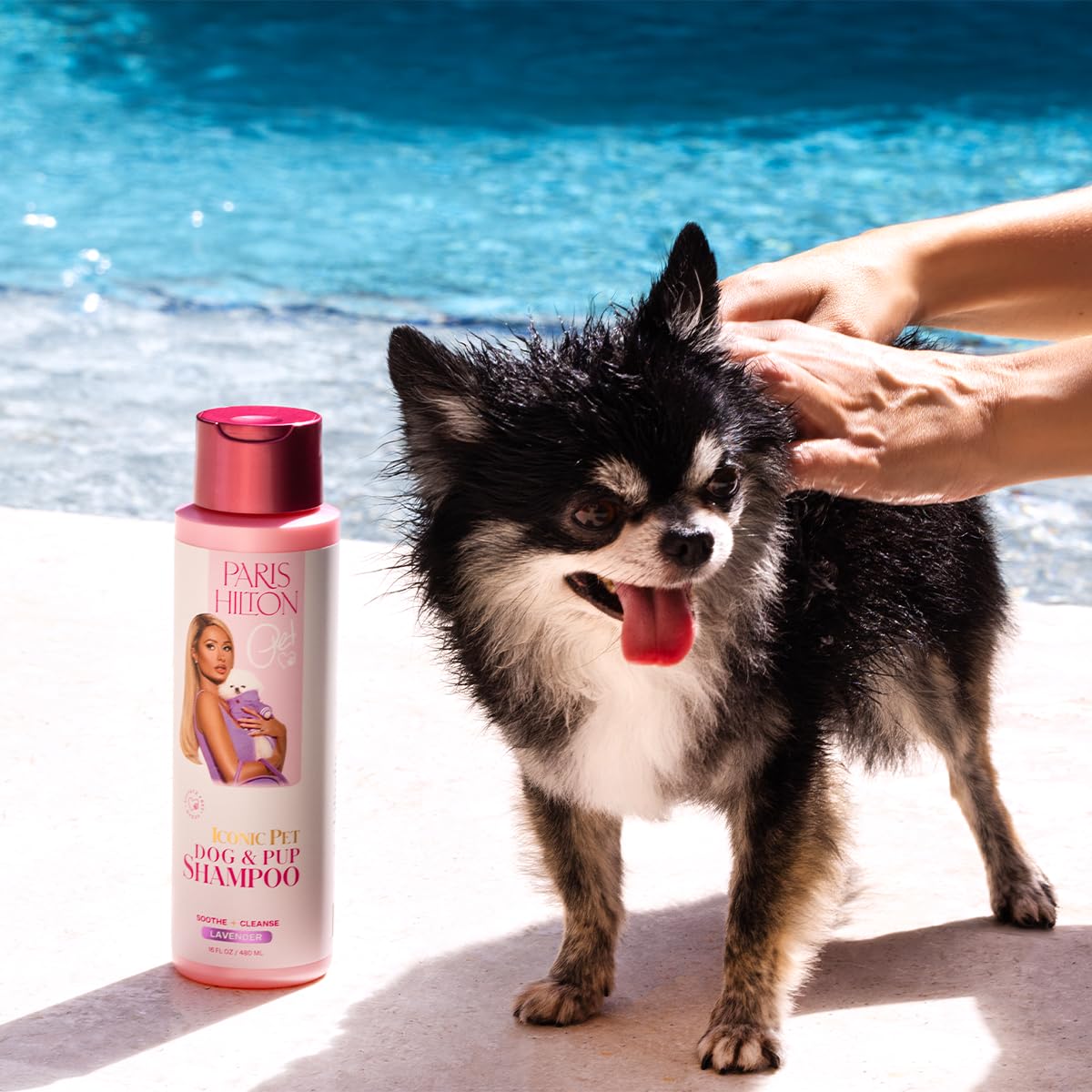 Foto 4 pulgar | Champú Para Perros Paris Hilton, Suave Y Relajante, Aroma A Lavanda, 480 Ml - Venta Internacional.