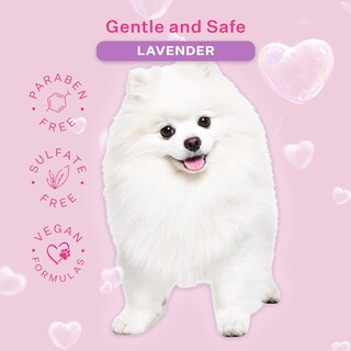 Foto 5 | Champú Para Perros Paris Hilton, Suave Y Relajante, Aroma A Lavanda, 480 Ml - Venta Internacional.
