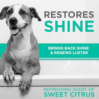 Foto 5 | Champú Para Perros Tropiclean Perfect Fur Para Controlar La Caída De Pelo, 480 Ml - Venta Internacional.