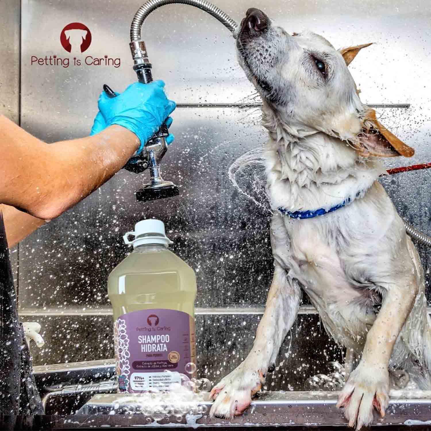Foto 6 pulgar | Shampoo Hidrata Para Perro Gato Origen Natural Petting Is Caring 1 Galon