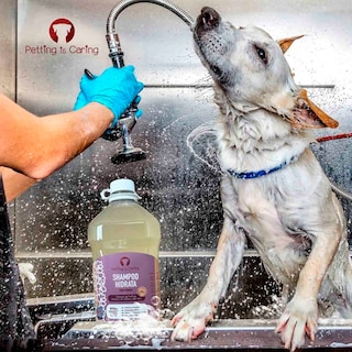 Foto 5 | Shampoo Hidrata Para Perro Gato Origen Natural Petting Is Caring 1 Galon