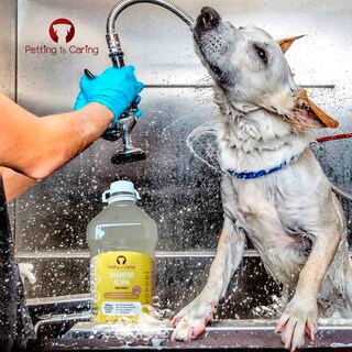 Foto 5 | Shampoo Alivia Para Perro Gato Origen Natural Petting Is Caring 1 Galon