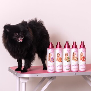 Foto 3 | Perfume Desodorizante Y Desenredante Para Perros Paris Hilton Apple 295 Ml - Venta Internacional.