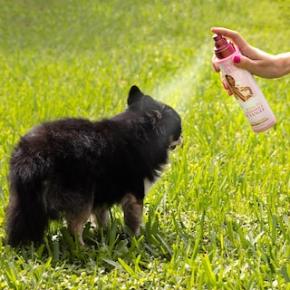 Foto 4 | Perfume Desodorizante Y Desenredante Para Perros Paris Hilton Apple 295 Ml - Venta Internacional.