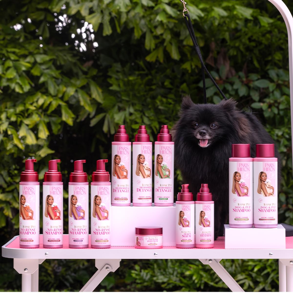 Foto 5 | Perfume Desodorizante Y Desenredante Para Perros Paris Hilton Apple 295 Ml - Venta Internacional.