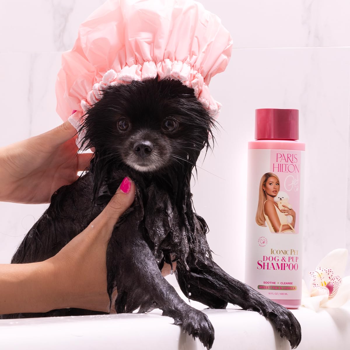 Foto 4 pulgar | Champú Para Perros Paris Hilton Sweet Pea & Vanilla 480 Ml - Venta Internacional.