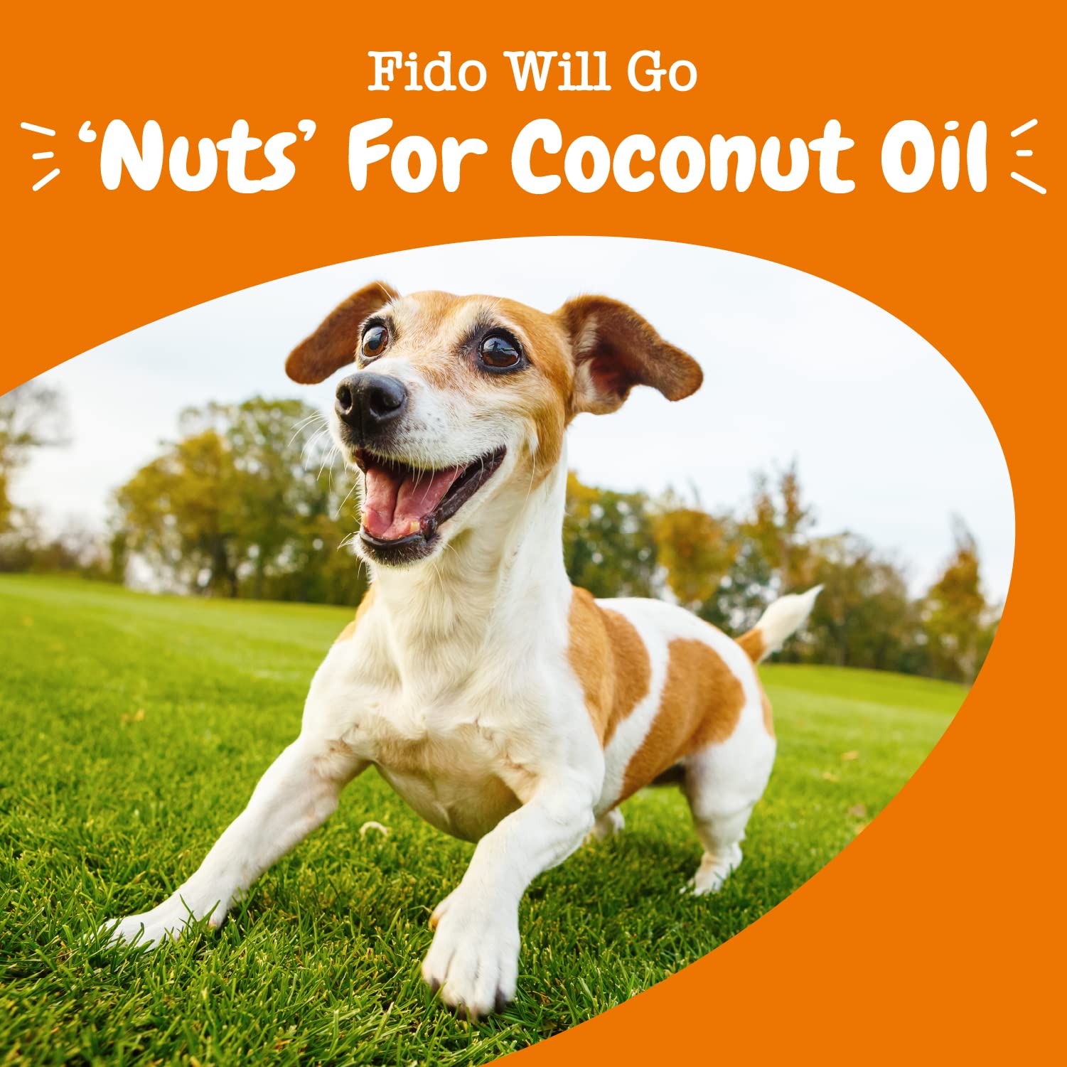 Foto 8 pulgar | Suplemento De Aceite De Coco Zesty Paws Para Perros 473 Ml - Venta Internacional.