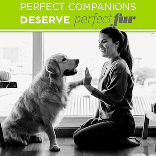 Foto 6 | Champú Para Perros Tropiclean Perfect Fur Sheding Control 480 Ml - Venta Internacional.