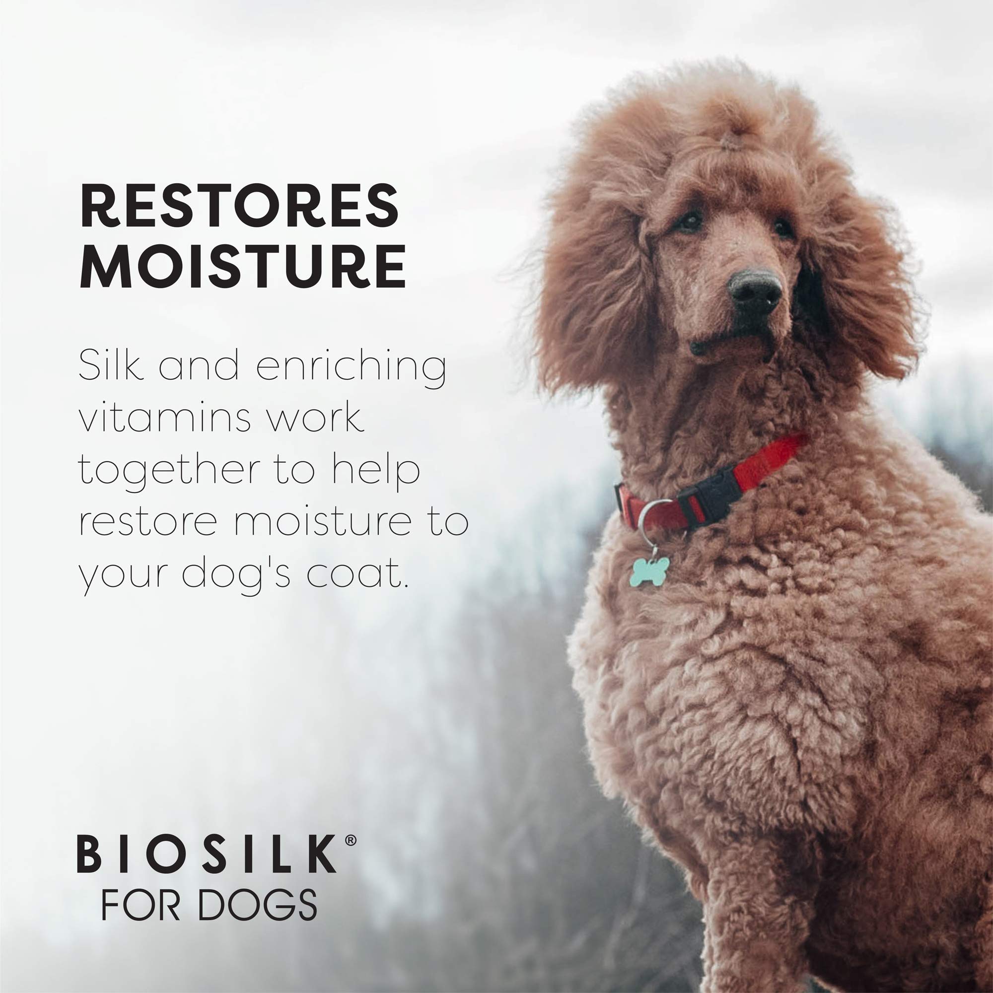 Foto 5 pulgar | Champú Para Perros Biosilk Silk Therapy Con Aceite De Coco 355 Ml Ee. Uu. - Venta Internacional.
