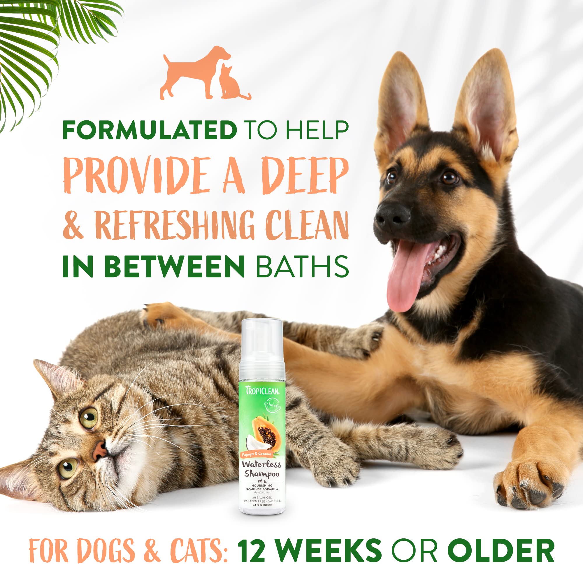 Foto 5 pulgar | Champú Sin Agua Para Perros Tropiclean Papaya Coconut 220 Ml - Venta Internacional.
