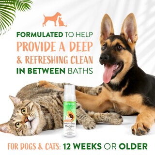 Foto 4 | Champú Sin Agua Para Perros Tropiclean Papaya Coconut 220 Ml - Venta Internacional.