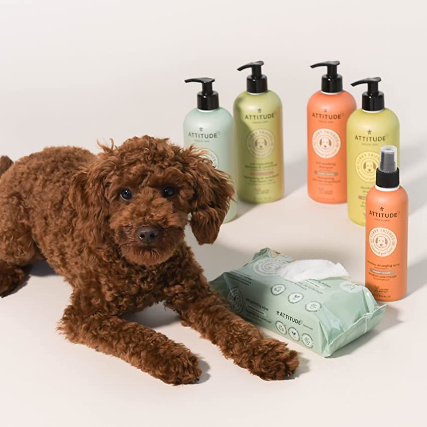Foto 3 | Champú Attitude Itch Soothing Para Gatos Y Perros, 473 Ml, Vegano - Venta Internacional.