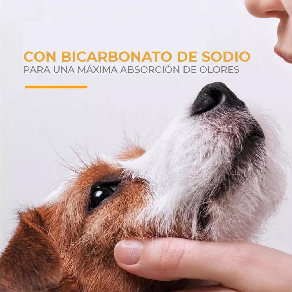 Foto 4 | Shampoo Para Cachorros Arm & Hammer Aroma Agua De Coco 591ml