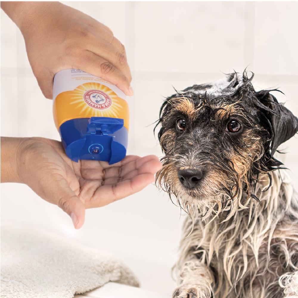 Foto 5 | Shampoo Para Cachorros Arm & Hammer Aroma Agua De Coco 591ml