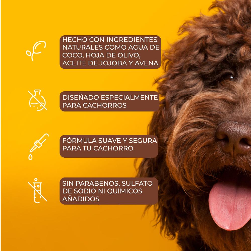 Foto 7 pulgar | Shampoo Para Cachorros Arm & Hammer Aroma Agua De Coco 591ml