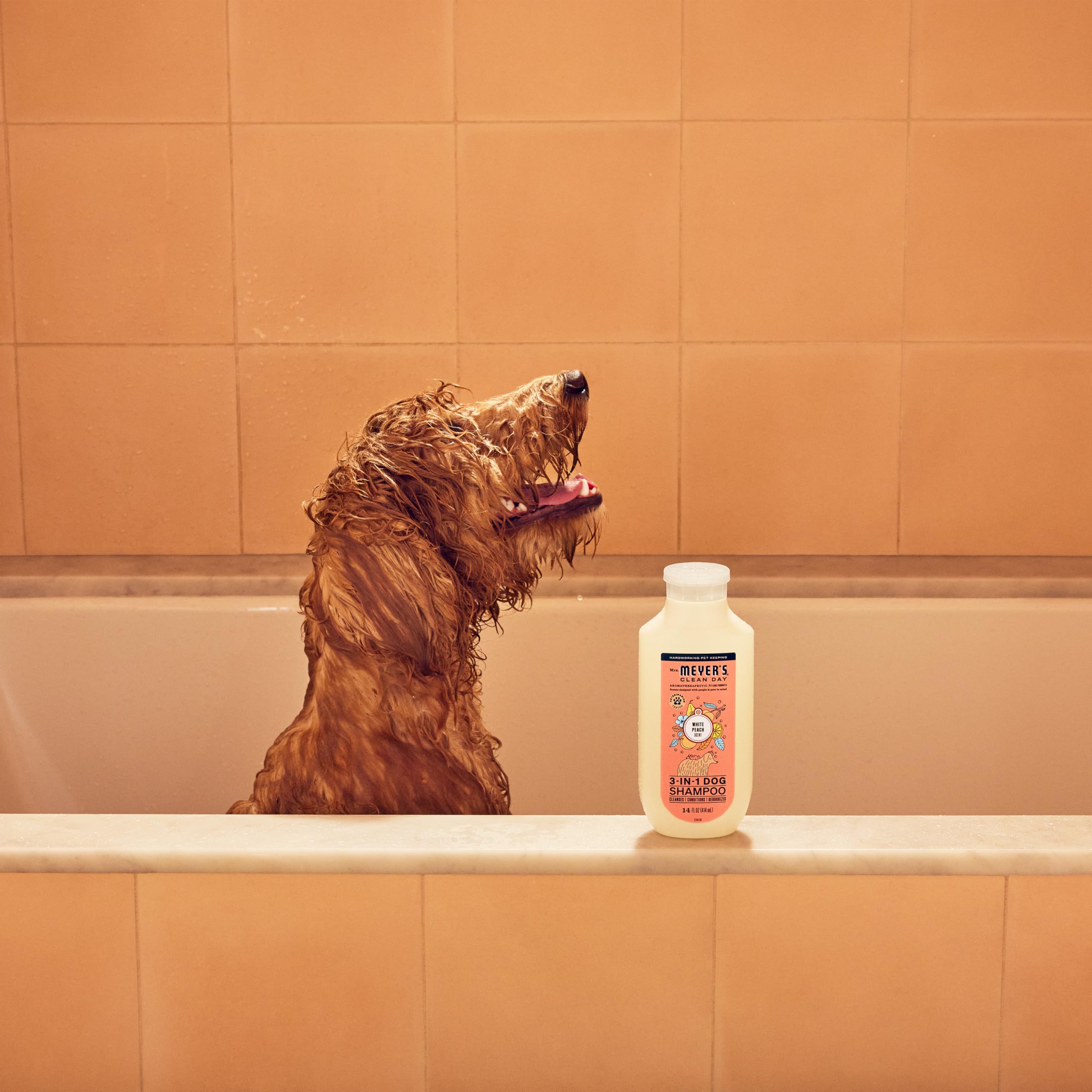 Foto 7 | Champú Para Perros Mrs. Meyer's Clean Day 3 En 1 White Peach 414 Ml - Venta Internacional.