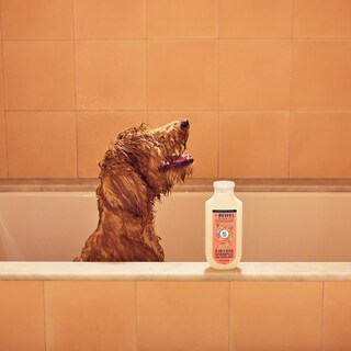 Foto 7 | Champú Para Perros Mrs. Meyer's Clean Day 3 En 1 White Peach 414 Ml - Venta Internacional.