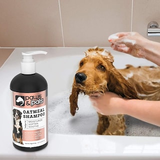 Foto 6 | Champú Y Acondicionador Para Perros Paws & Pals 6 En 1 600 Ml - Venta Internacional.