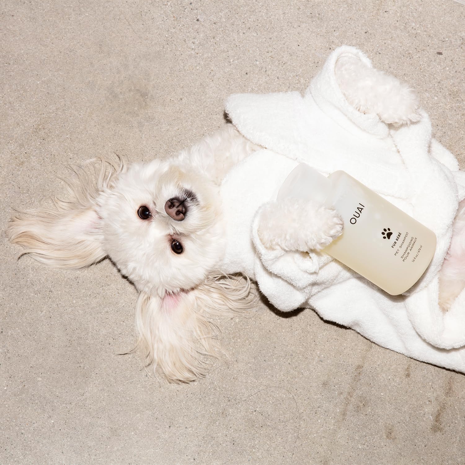 Foto 7 pulgar | Champú Para Mascotas Ouai Fur Bebé Mercer Street Scent 480 Ml - Venta Internacional.
