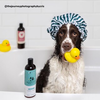 Foto 6 | Acondicionador Kin+kind Para Perros Y Gatos Con Manteca De Karité 355 Ml Fabricado En Ee. Uu. - Venta Internacional.