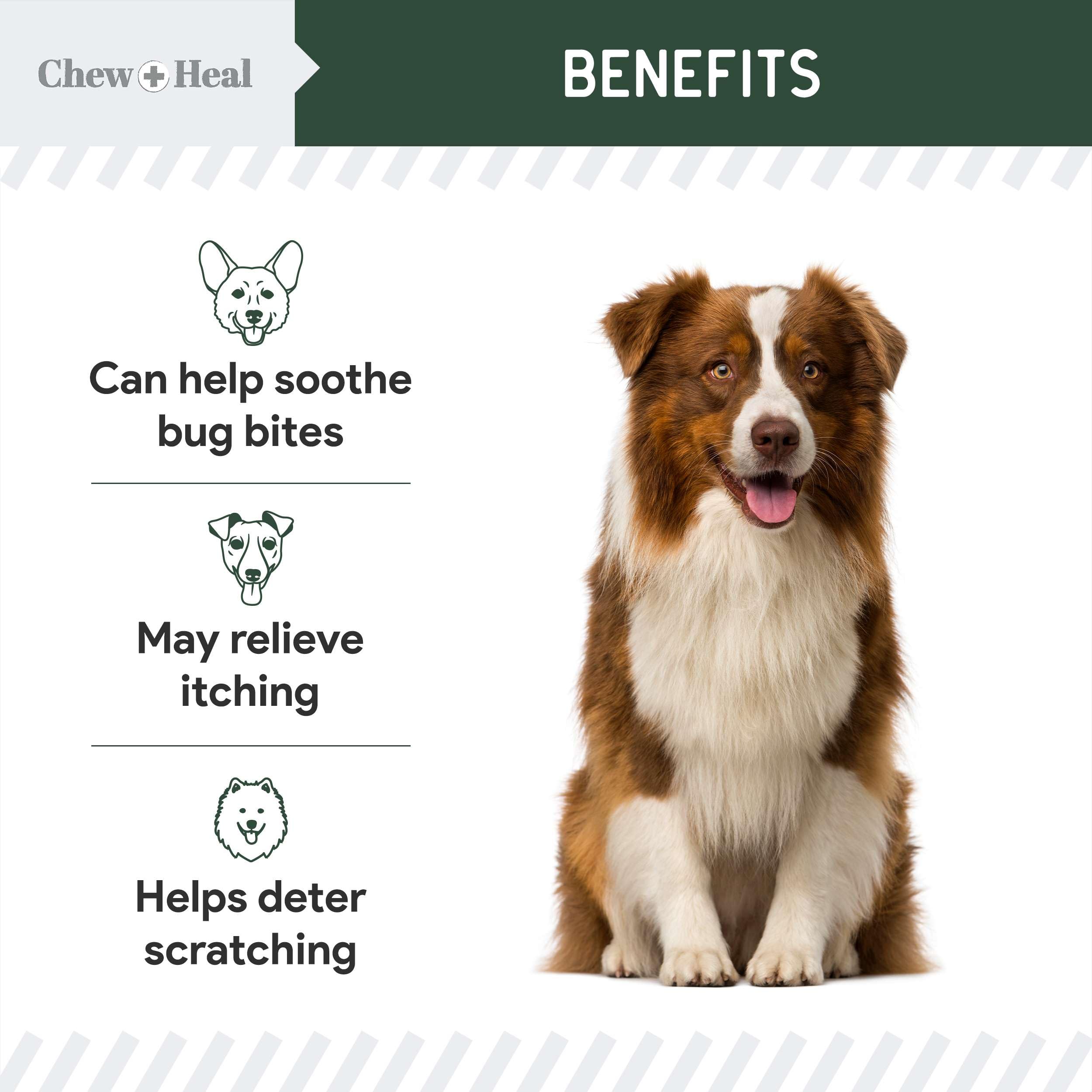 Foto 3 pulgar | Loción De Hidrocortisona Chew + Heal Labs Para Perros  118 Ml - Venta Internacional.