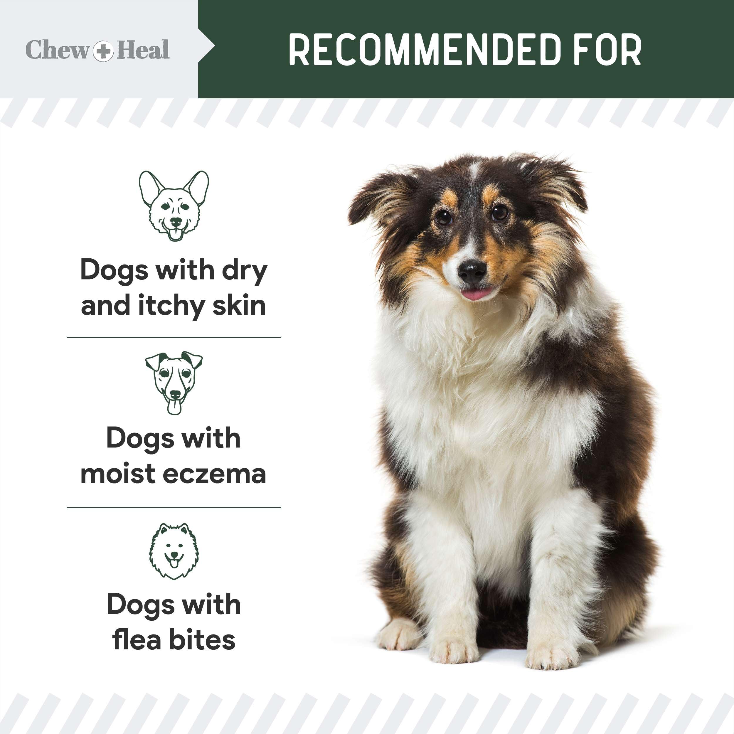 Foto 3 | Loción De Hidrocortisona Chew + Heal Labs Para Perros  118 Ml - Venta Internacional.