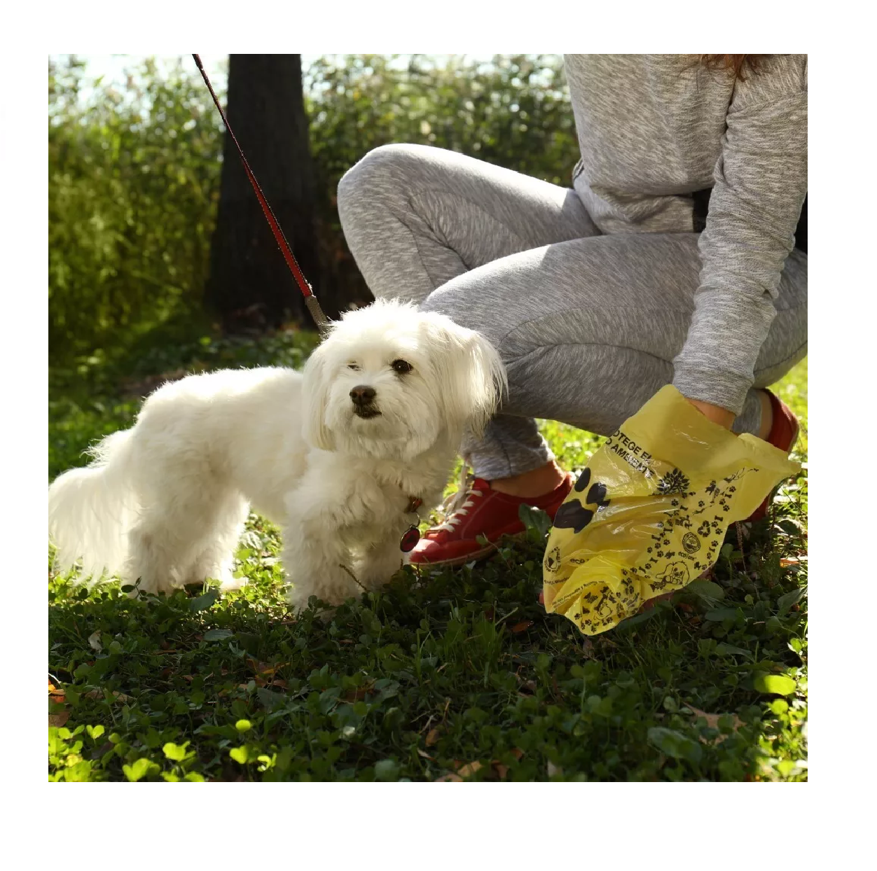 Foto 6 pulgar | Contenedor con 600 Bolsas para Desechos de Mascota Propets