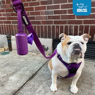 Foto 5 | Soporte Para Bolsas De Excrementos De Perro Y Correa, Los Mejores Suministros Para Mascotas - Venta Internacional.