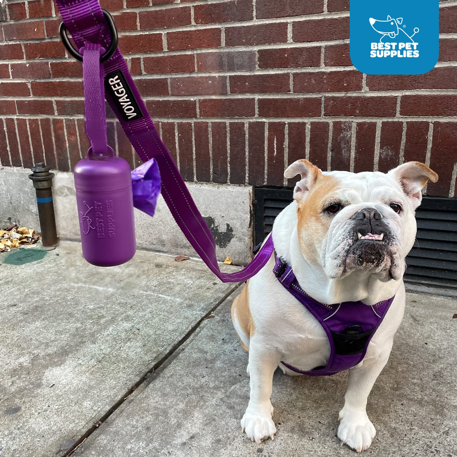 Foto 6 pulgar | Soporte Para Bolsas De Excrementos De Perro Y Correa, Los Mejores Suministros Para Mascotas - Venta Internacional.